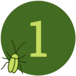 1-roach residential pest control