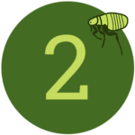 2-flea residential pest control