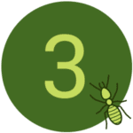 3-termite residential pest control