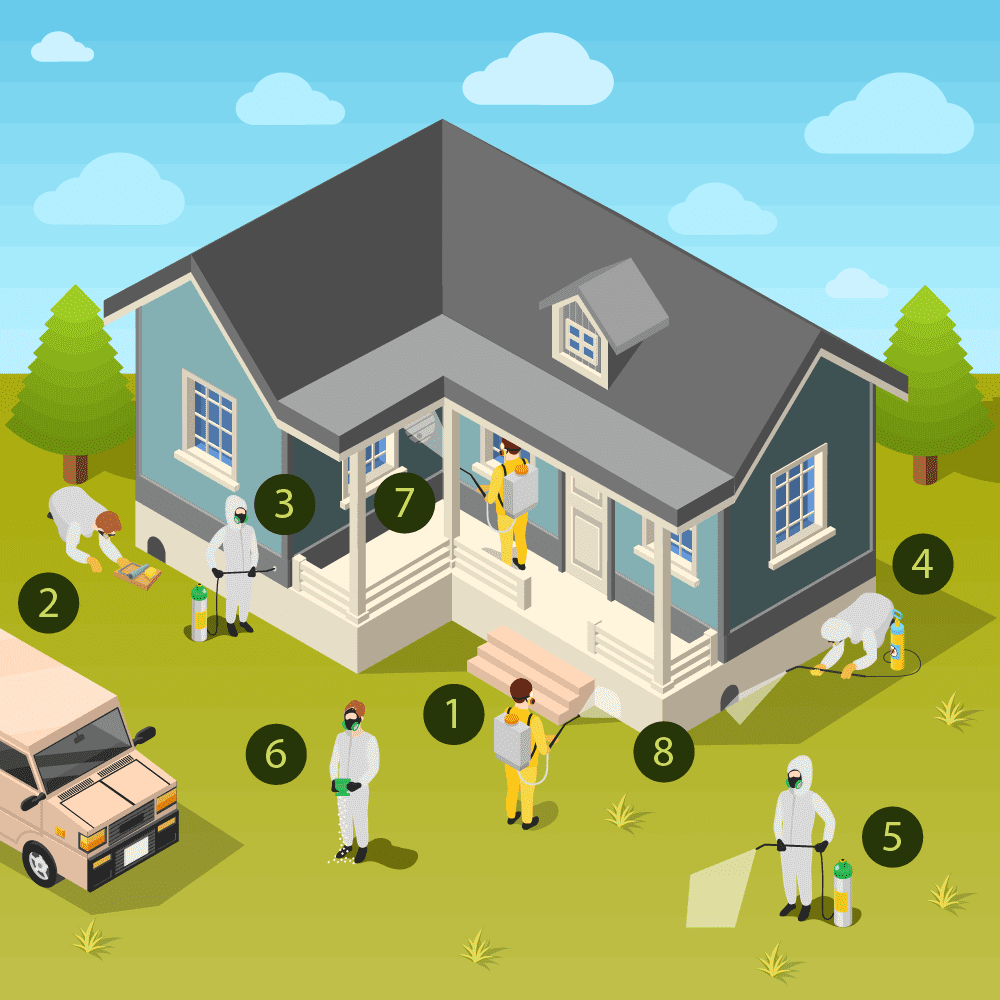 HouseIllustration1000-01